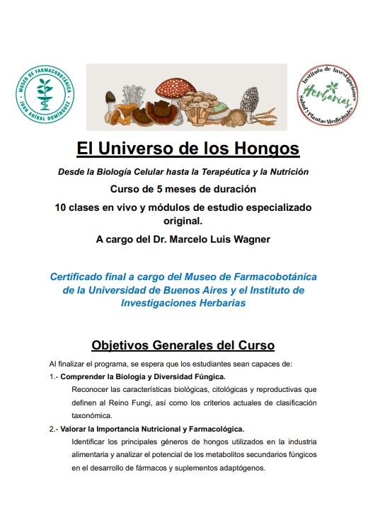 Imagen de informacion sobre curso universo de los hongos